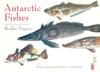 Antarctic Fishes 