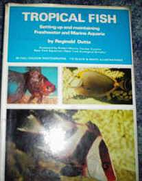Tropical Fish by Reginald Dutta, 