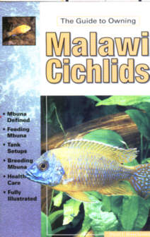 Guide to Malawi Cichlids  