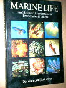 Marine Life  An Illustrated Encyclopaedia of Invertebrates in the Se
