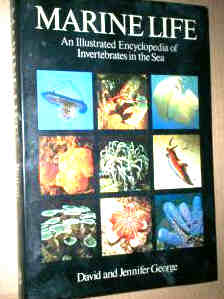 Marine Life  An Illustrated Encyclopaedia of Invertebrates 