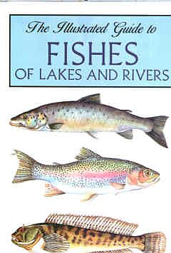 The Illustrated Guide to Fishes of Lakes and Rivers 