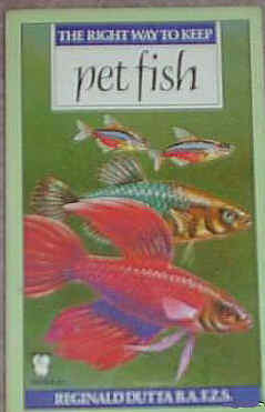 The Right Way to Keep Pet Fish  