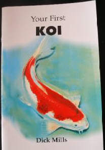 Your First Koi   