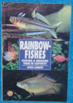 Rainbow Fishes 