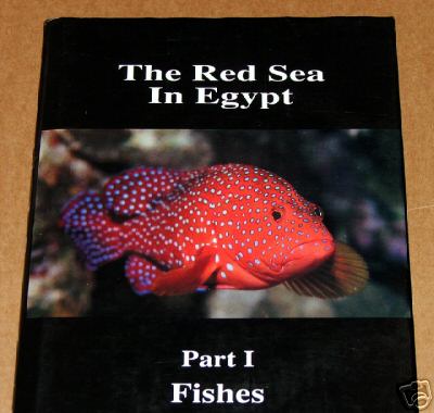The Red Sea in Egypt Fishes