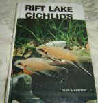 Rift Lake Cichlids 