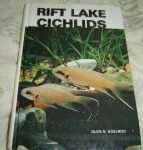 Rift Lake Cichlids  