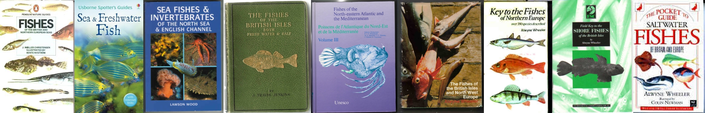 British Sea Fishes.Inshore and coastal fish