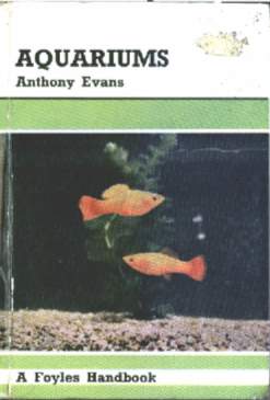 Aquariums  Anthony Evans 
