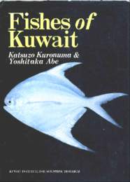 Fishes of Kuwait   K.Kuronuma and Y.Abe