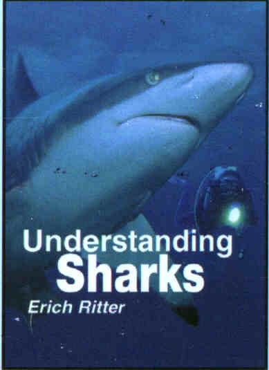 Understanding Sharks