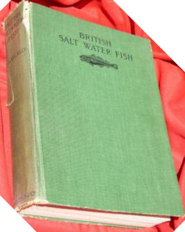 British Salt Water Fish.  
