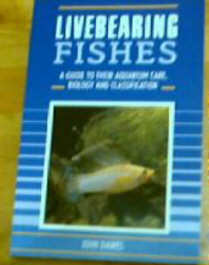 Livebearing Fishes   