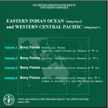Eastern Indian Ocean and Western Central Pacific. Fish Identification Sheets. 