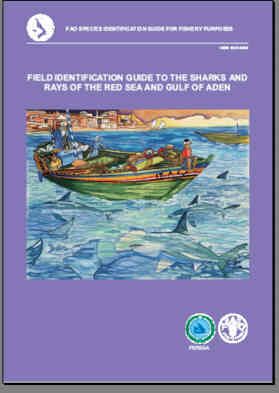 Field Identification Guide to the Sharks and Rays of the Red Sea and Gulf 