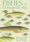 Fishes of Chesapeake Bay.  