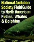 National Audubon Society Field Guide to North American Fishes, Whales, and Dolphins.  