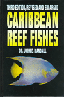 Caribbean Reef Fishes.  