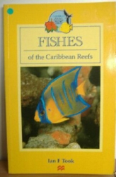 Fishes of the Caribbean Reefs , The Bahamas and bermuda  