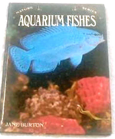 Aquarium Fishes  