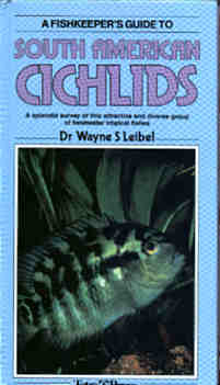 South American Cichlids