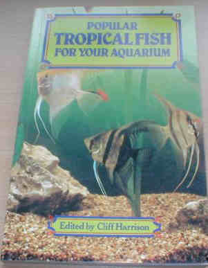 Popular Tropical Fishes for your Aquarium