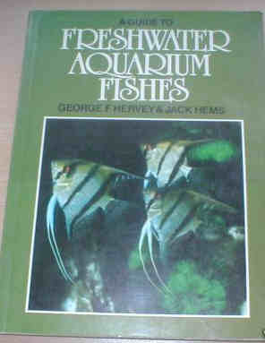 Freshwater Aquarium Fishes 