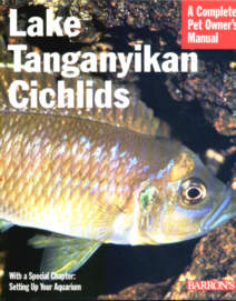 Lake Tanganyikan Cichlids.