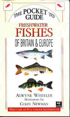 Guide to Freshwater Fishes of Britain and Europe