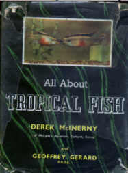 All About Tropical Fishes