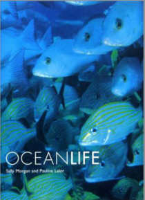 OCEANLIFE. By Sally Morgan and Pauline Lalor.