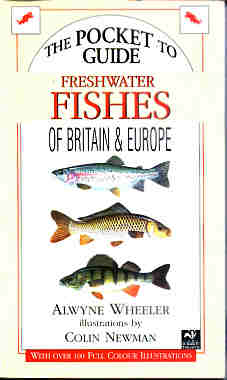 The Pocket Guide to the Freshwater Fishes of Britain and Europe - Wheeler