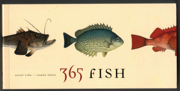 365 FISH by Kotai