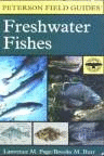 American Freshwater Fishes
