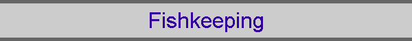 Fishkeeping