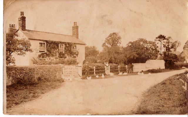 Cottage on the right is the Bright family home at Margaret Roding in 1910