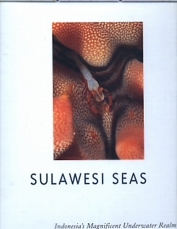 Sulawesi Seas