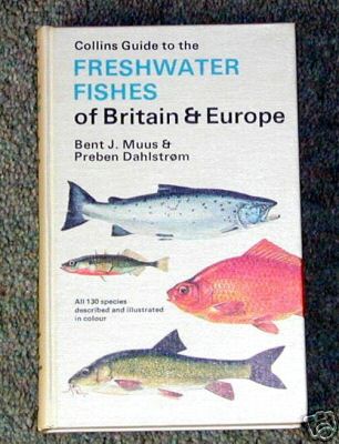 Collins Guide to the Freshwater Fishes of Britain and Europe 