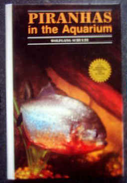 Piranhas in the Aquarium.&nbsp; 
