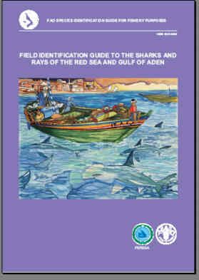 Field Identification Guide to the Sharks and Rays of the Red Sea and Gulf