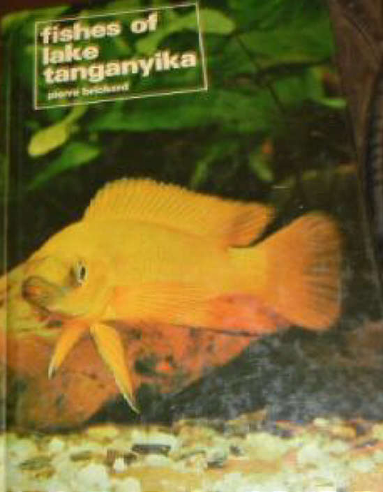 Fishes of Lake Tanganyika 