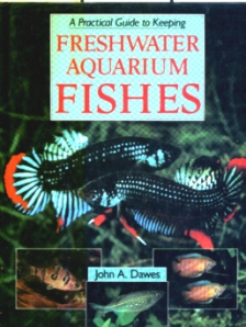 A Practical Guide to Keeping Freshwater Aquarium Fishes