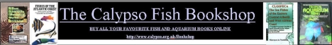The Calypso Online Fish Bookshop